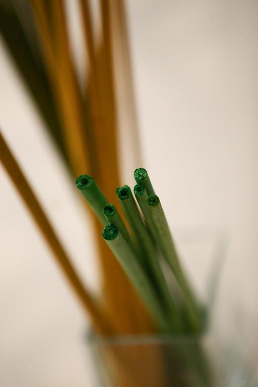 Apartment Green Tea Budapest Center エクステリア 写真